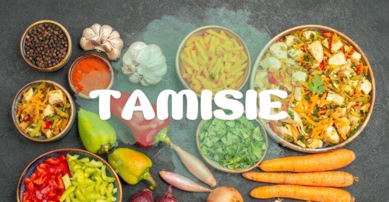 Understanding Tamisie: A Comprehensive Exploration