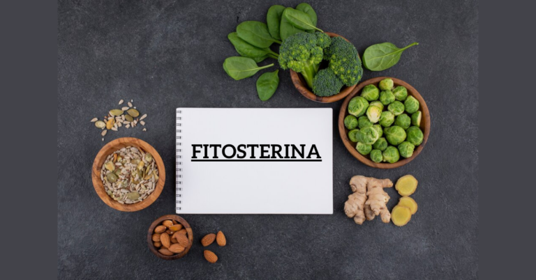 Understanding Fitosterina: A Comprehensive Overview